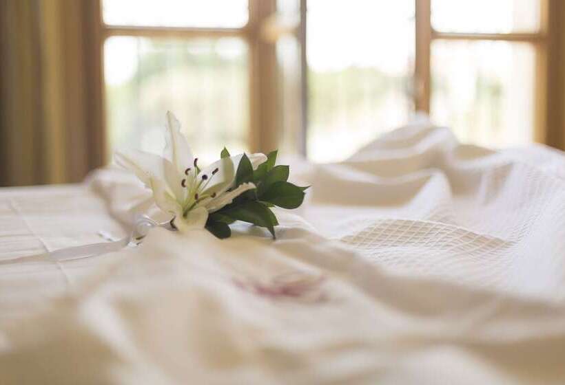 اتاق سوپریور, Torremilanos