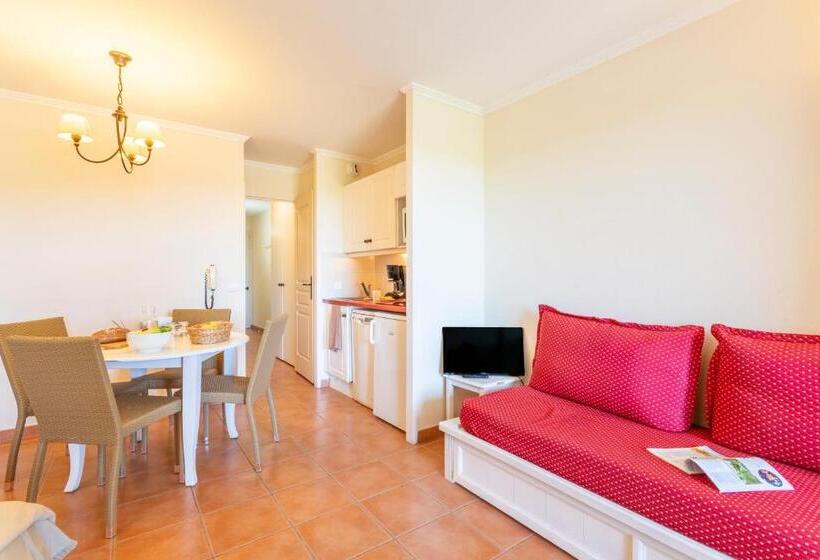 إستديو قياسى مزود بشرفة, Village Pierre & Vacances Pont Royal En Provence