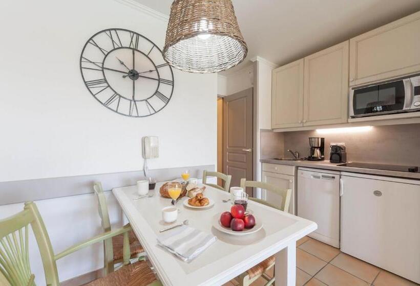 إستديو قياسى مزود بشرفة, Village Pierre & Vacances Pont Royal En Provence