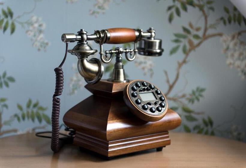 סוויטה משפחתית, Château Brachet