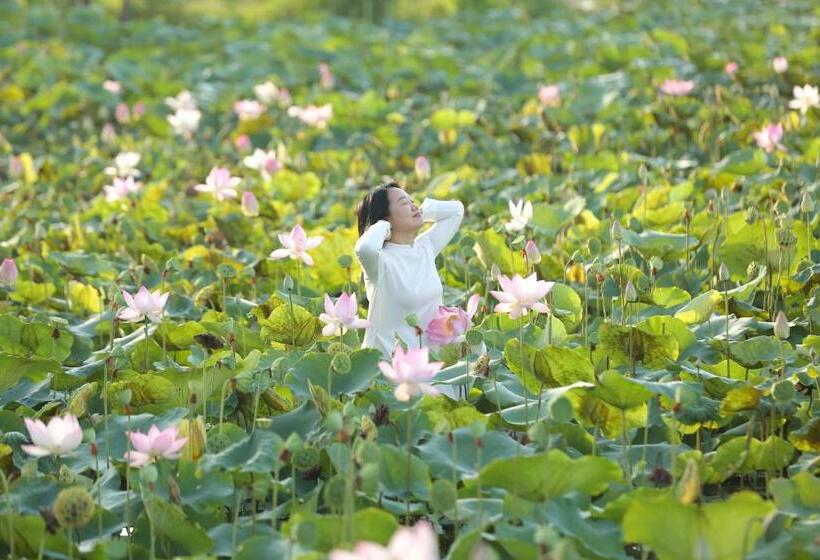 اتاق لوکس با بالکن, Lotus Hotel Ninh Bình