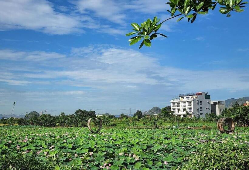 اتاق لوکس, Lotus Hotel Ninh Bình