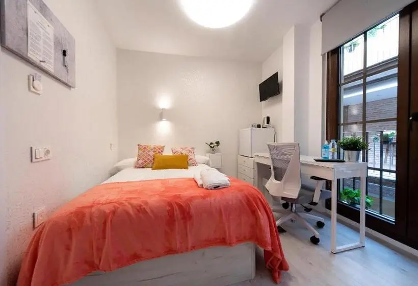 اتاق عادی یک تخته, Vizcainos Home Away
