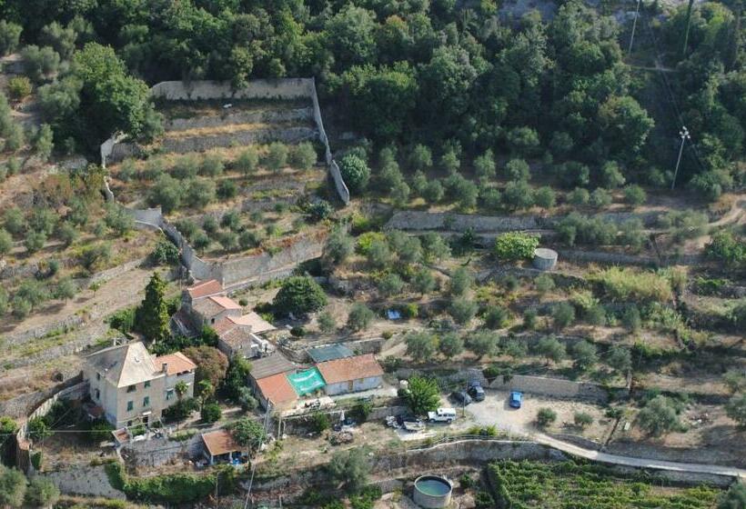 اتاق اکونومی, Agriturismo La Contessa