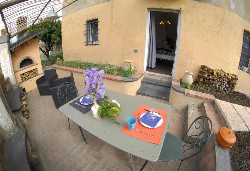 اتاق استاندارد با وان آب گرم, Agriturismo La Contessa