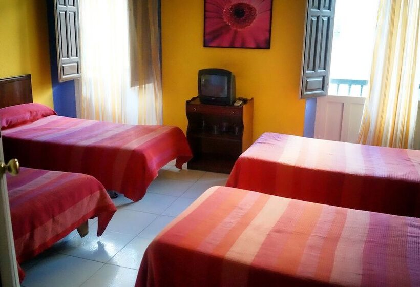 اتاق استاندارد چهارنفره با سرویس بهداشتی مشترک, Antares