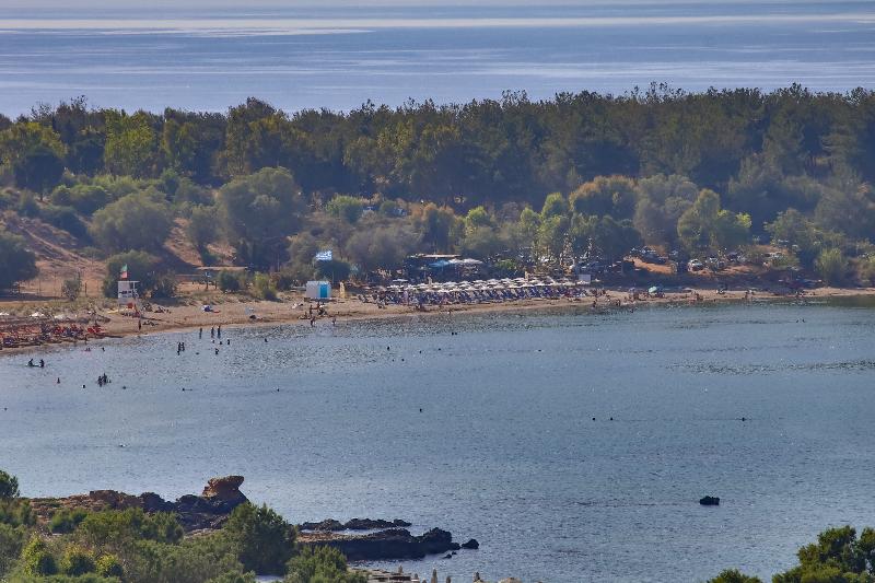 オーシャンビュースタンダードルーム, Alexis