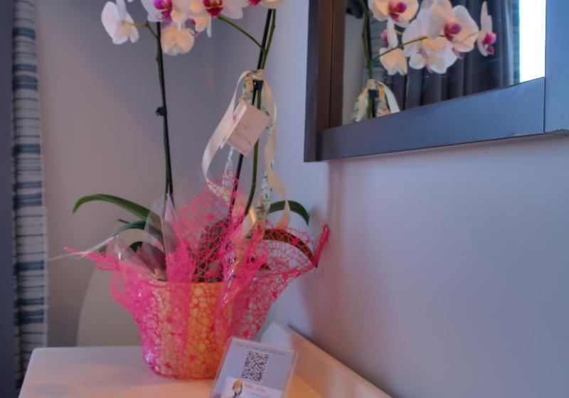 オーシャンビュースタンダードルーム, Alexis