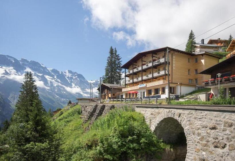Номер Стандарт Индивидуальный, Alpenblick Mürren