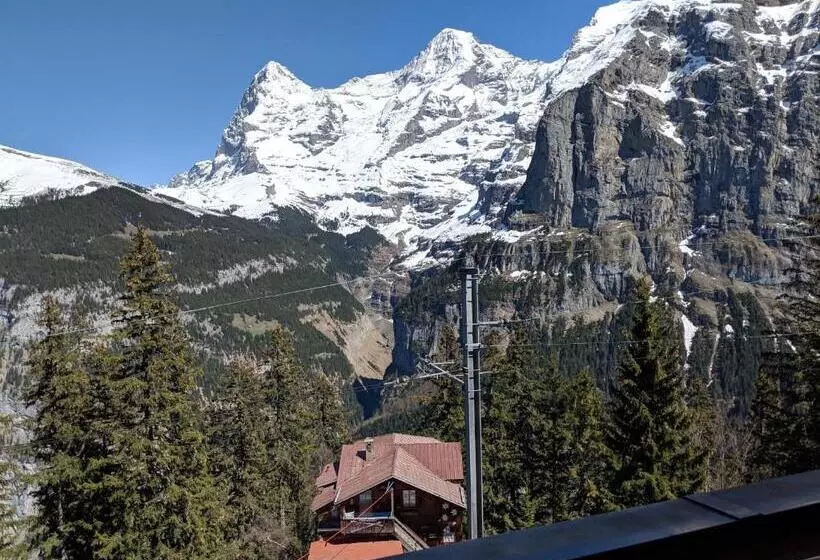 اتاق استاندارد یک نفره, Alpenblick Mürren