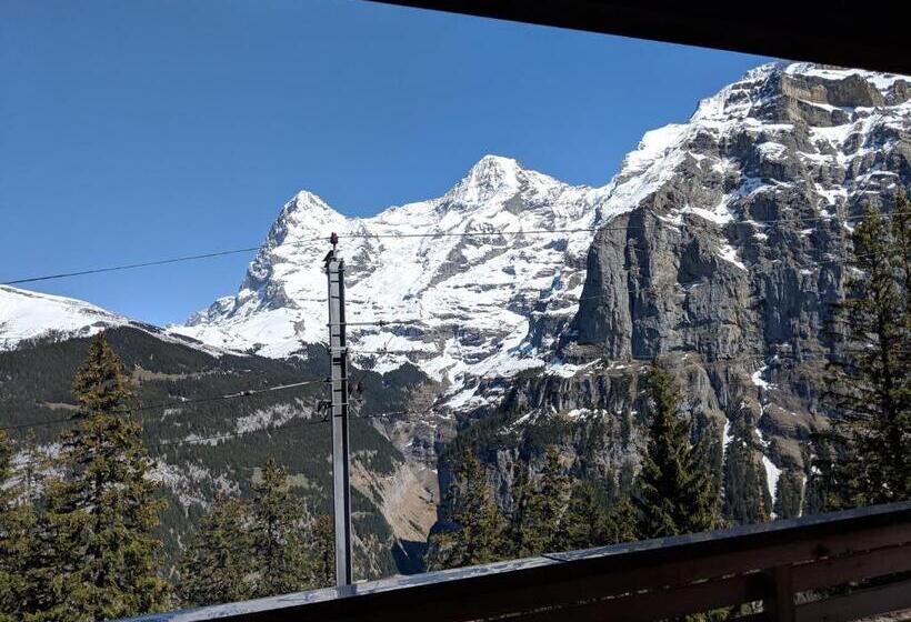 اتاق استاندارد یک نفره, Alpenblick Mürren