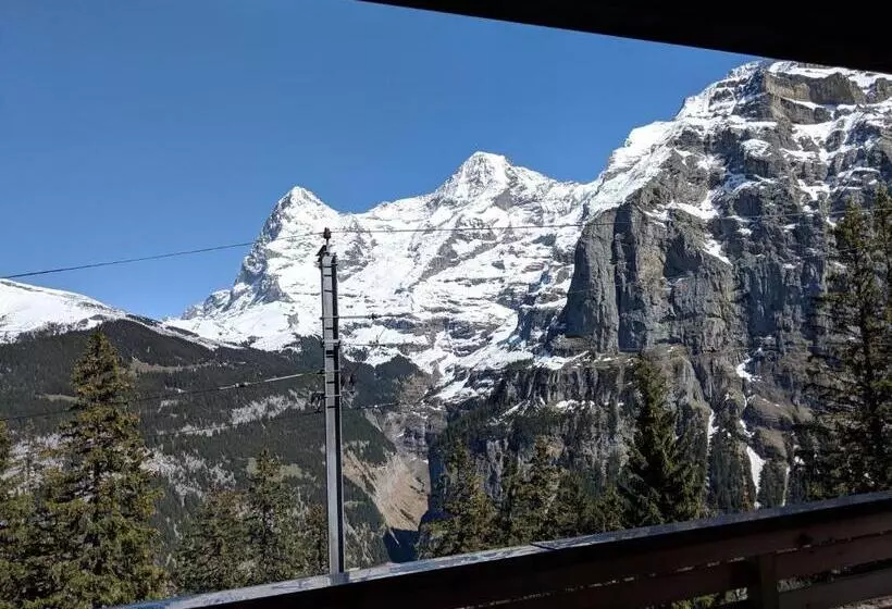 اتاق استاندارد یک نفره, Alpenblick Mürren