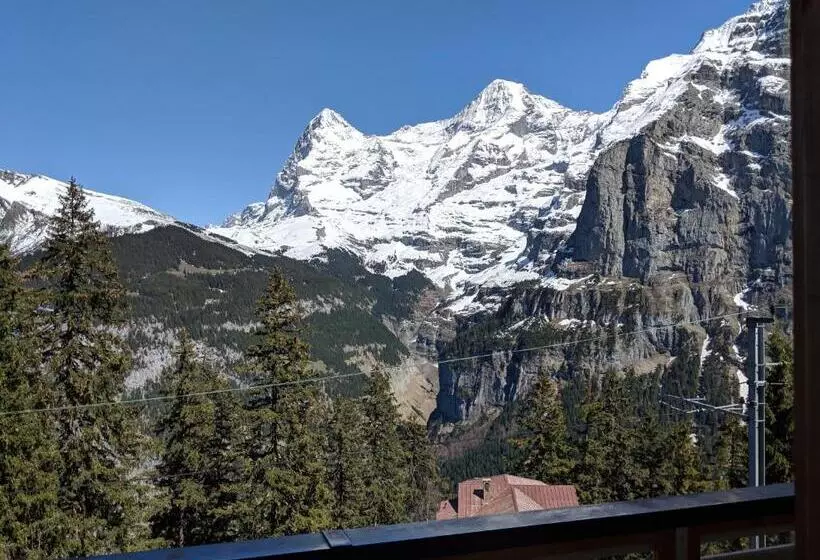 اتاق سوپریور با چشمانداز کوهستان, Alpenblick Mürren