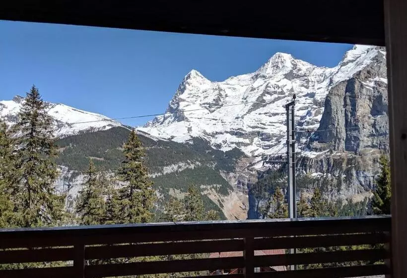 اتاق سوپریور با چشمانداز کوهستان, Alpenblick Mürren