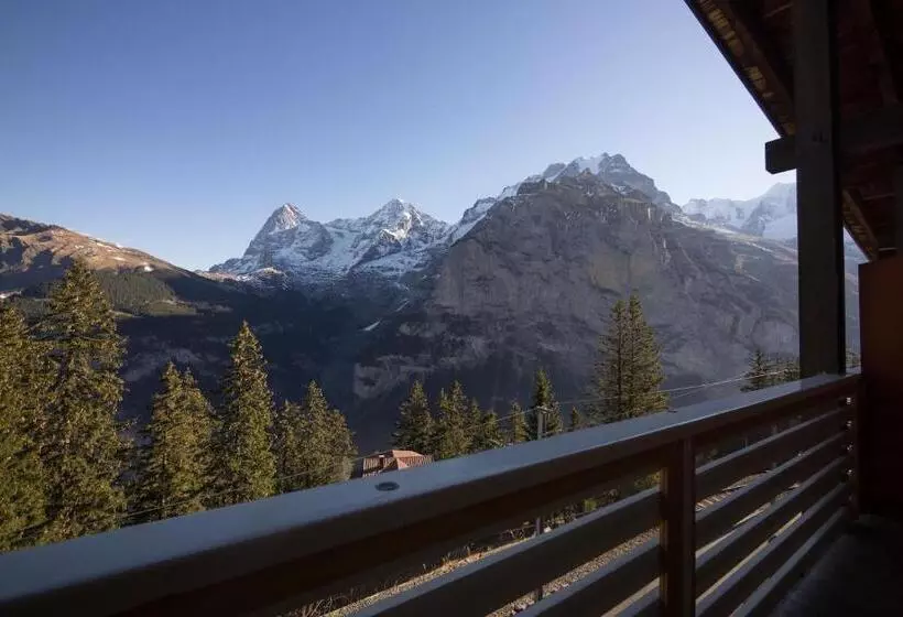 Deluxe Room Mountain View, Alpenblick Mürren