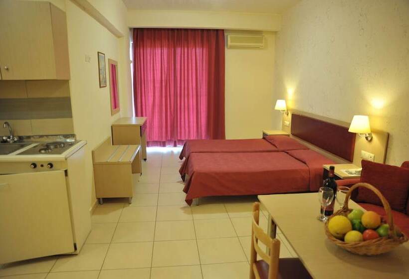 סטודיו סטנדרט עם נוף, Anseli