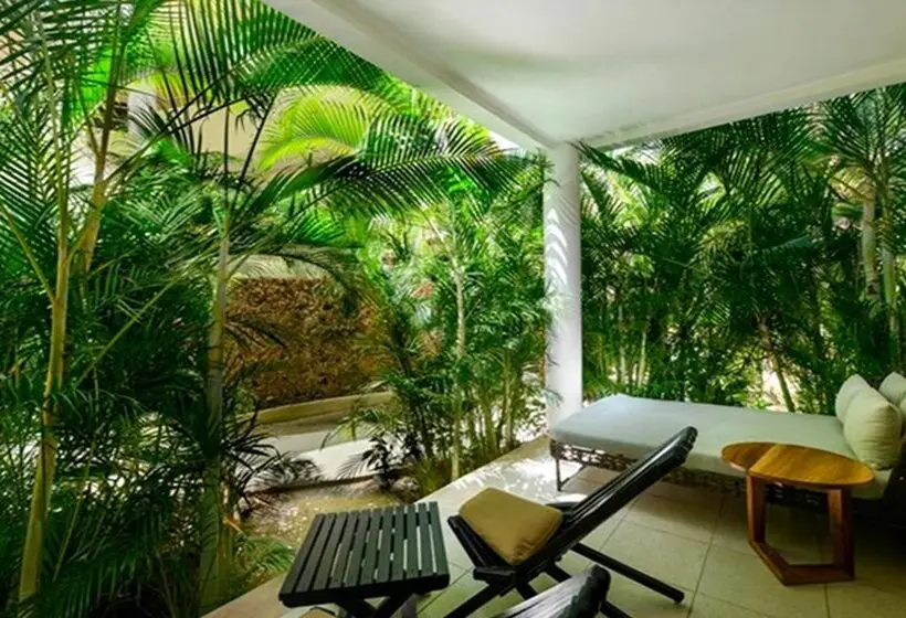 سوییت جونیور, El Dorado Maroma, All & More Inclusive - Adults Only