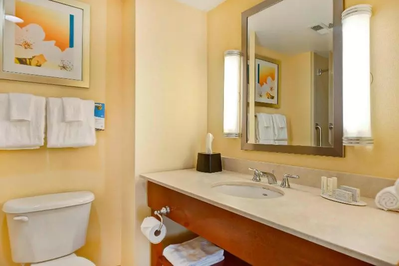 اتاق استاندارد با تخت بزرگ, Fairfield Inn And Suites By Marriott Durham Southpoint