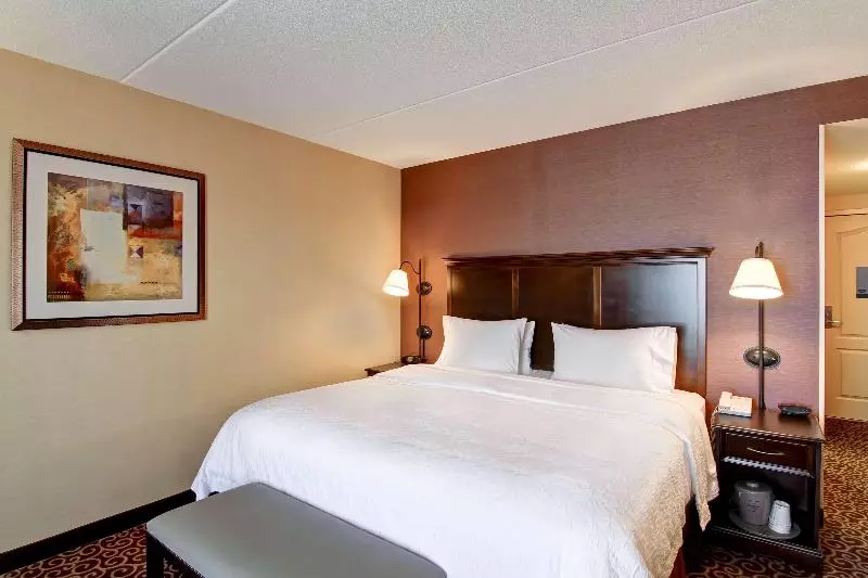 اتاق استاندارد با تخت بزرگ, Hampton Inn By Hilton Sudbury