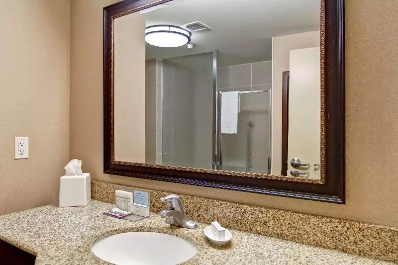 اتاق استاندارد با تخت بزرگ, Hampton Inn By Hilton Sudbury