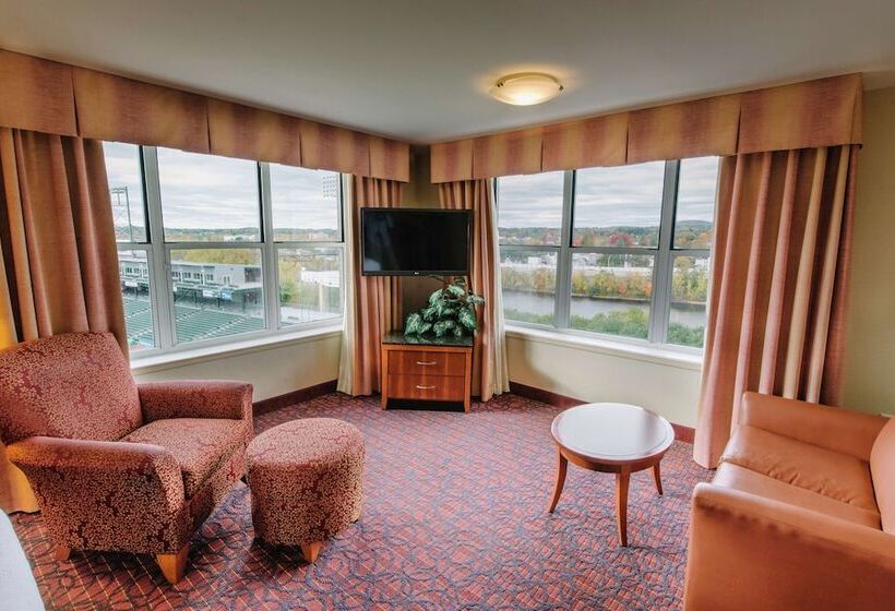 اتاق استاندارد, Hilton Garden Inn Manchester Downtown