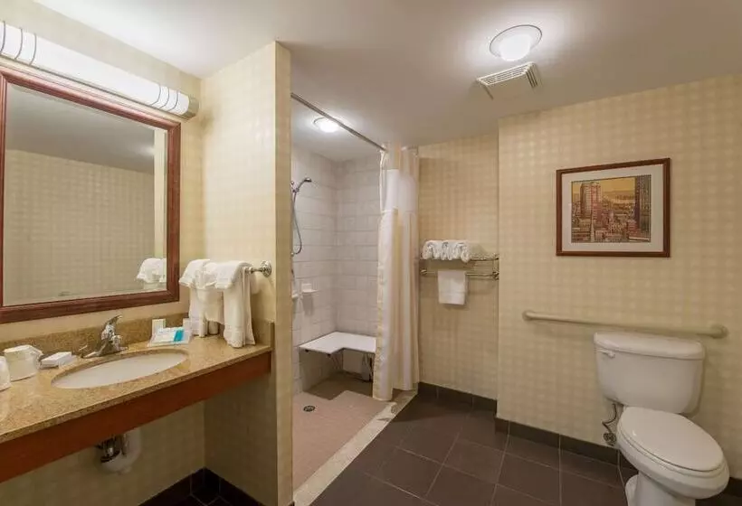 اتاق استاندارد برای معلولان, Hilton Garden Inn Manchester Downtown