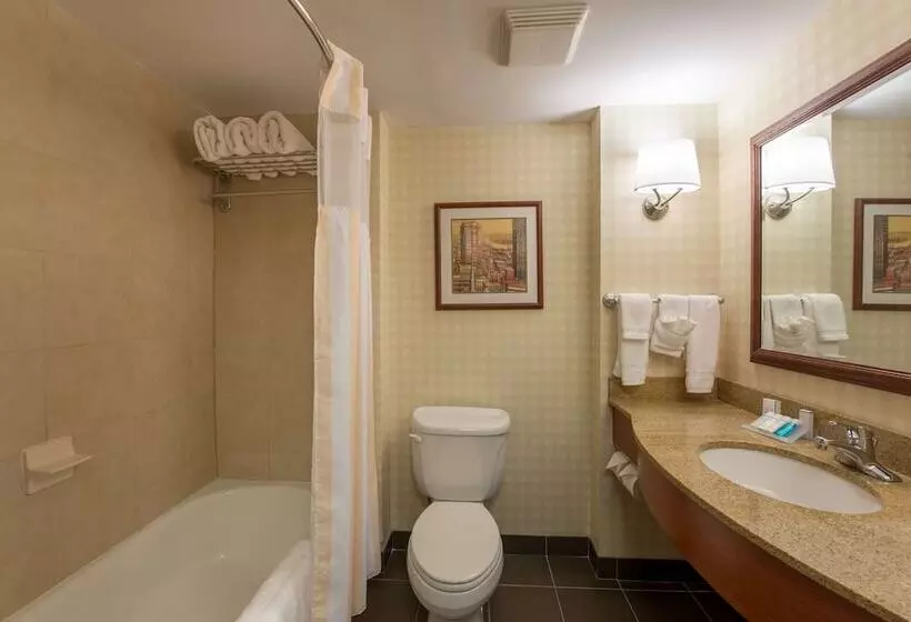 اتاق استاندارد با 2 تخت دوبل, Hilton Garden Inn Manchester Downtown