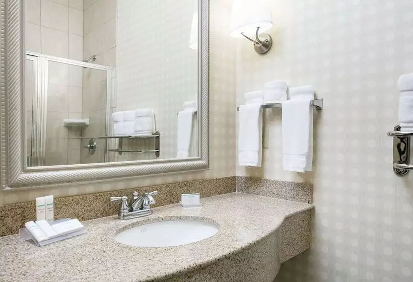 اتاق استاندارد, Hilton Garden Inn Omaha West