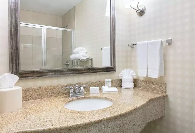 اتاق استاندارد, Hilton Garden Inn Omaha West