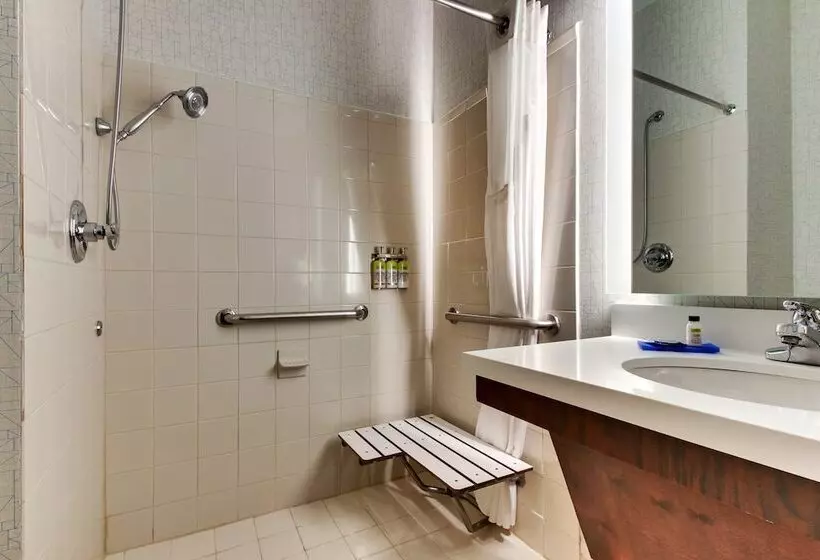 スイート, Holiday Inn Express Hotel & Suites   Atlanta/emory University Area, An Ihg
