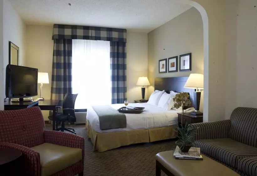スイート, Holiday Inn Express Hotel & Suites   Atlanta/emory University Area, An Ihg