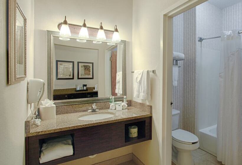 جناح, Holiday Inn Express Hotel & Suites   Atlanta/emory University Area, An Ihg