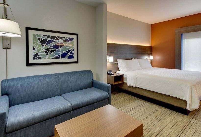 جناح, Holiday Inn Express Hotel & Suites   Atlanta/emory University Area, An Ihg