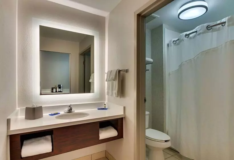 身障者適用スイートルーム, Holiday Inn Express Hotel & Suites   Atlanta/emory University Area, An Ihg