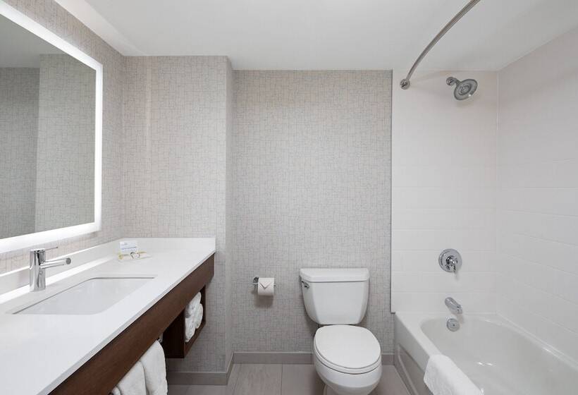 标准间, Holiday Inn Express & Suites Halifax Airport, An Ihg