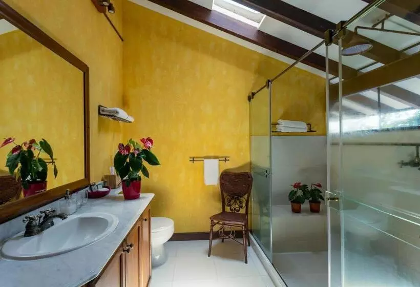 سوییت, Sazagua Hotel Boutique