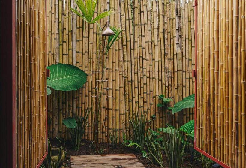 标准平房, Sazagua Hotel Boutique