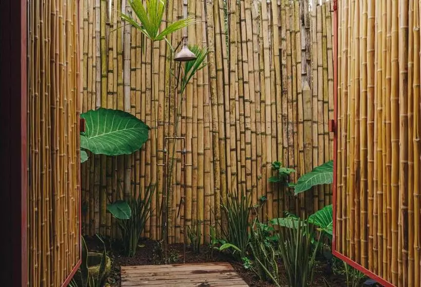 بانگلوی استاندارد, Sazagua Hotel Boutique