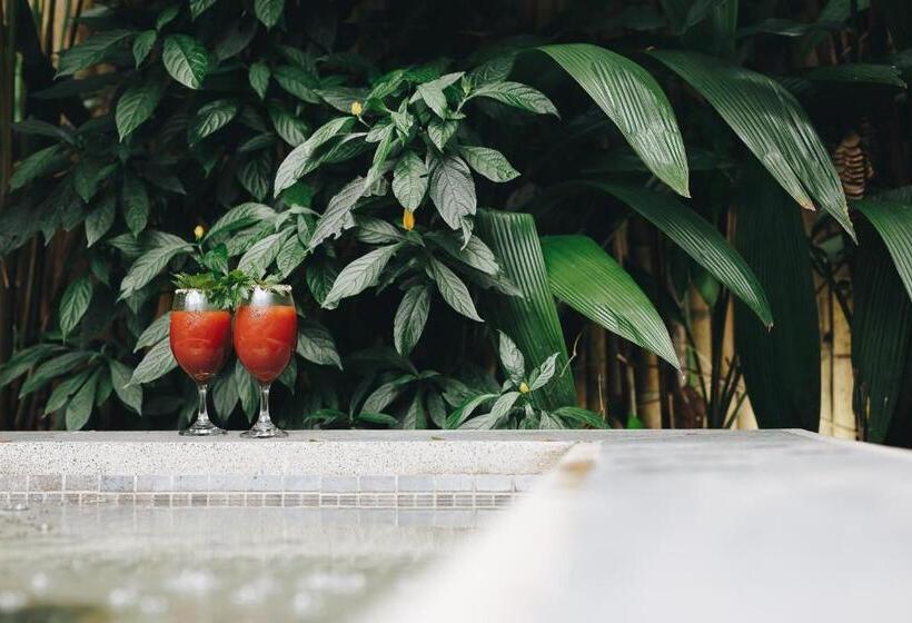 带1个卧室的豪华别墅, Sazagua Hotel Boutique