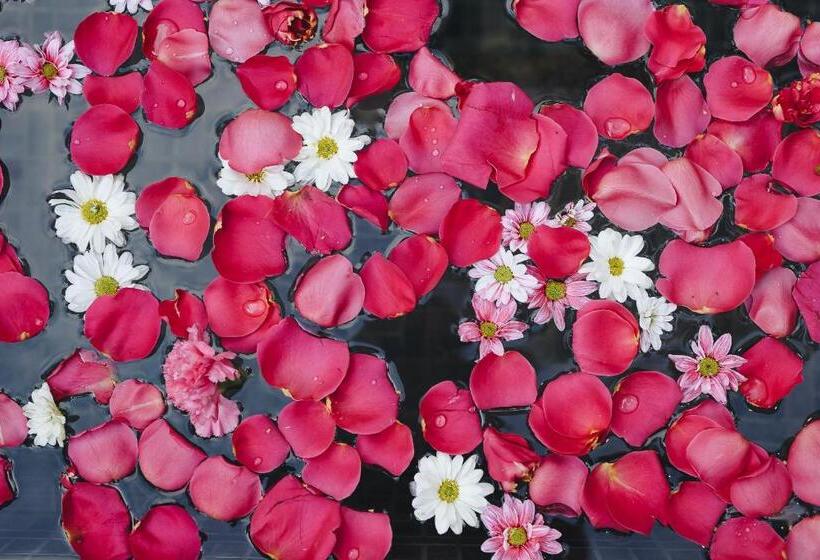 带1个卧室的豪华别墅, Sazagua Hotel Boutique