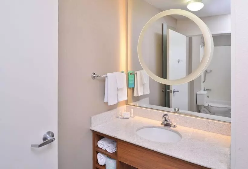 スタンダードスタジオ, Springhill Suites Las Vegas Henderson
