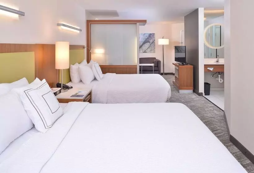 スタンダードスタジオ, Springhill Suites Las Vegas Henderson
