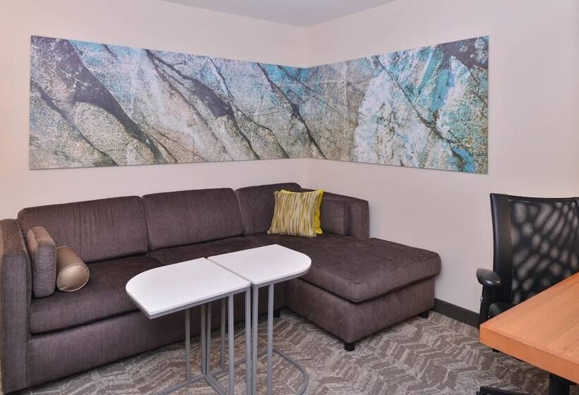 חדר סטודיו סטנדרד, Springhill Suites Las Vegas Henderson