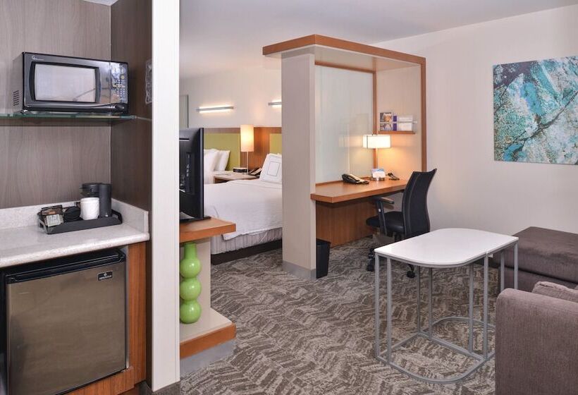 Студия Стандарт, Springhill Suites Las Vegas Henderson