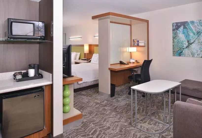 スタンダードスタジオ, Springhill Suites Las Vegas Henderson