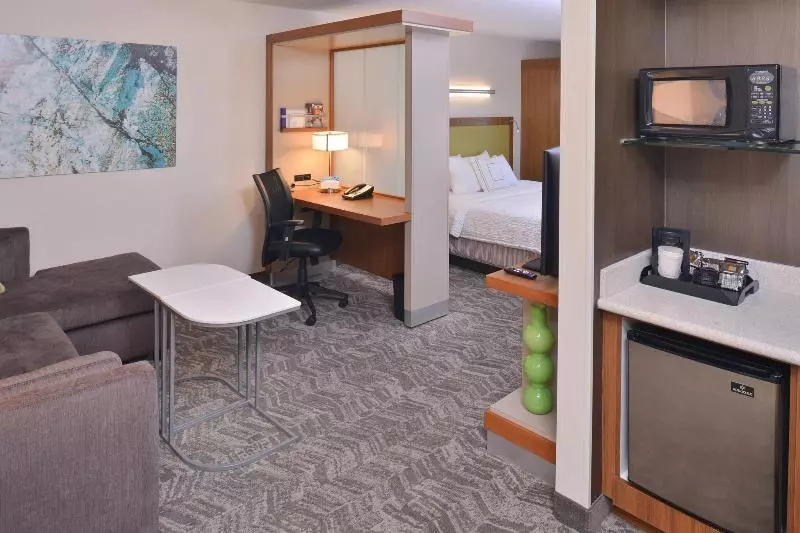 キングサイドベッドのスタンダードワンルーム, Springhill Suites Las Vegas Henderson