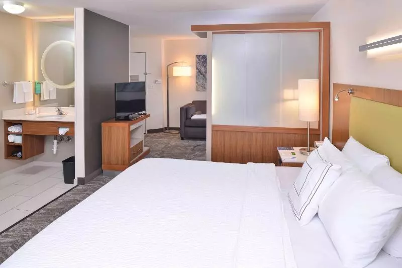 キングサイドベッドのスタンダードワンルーム, Springhill Suites Las Vegas Henderson
