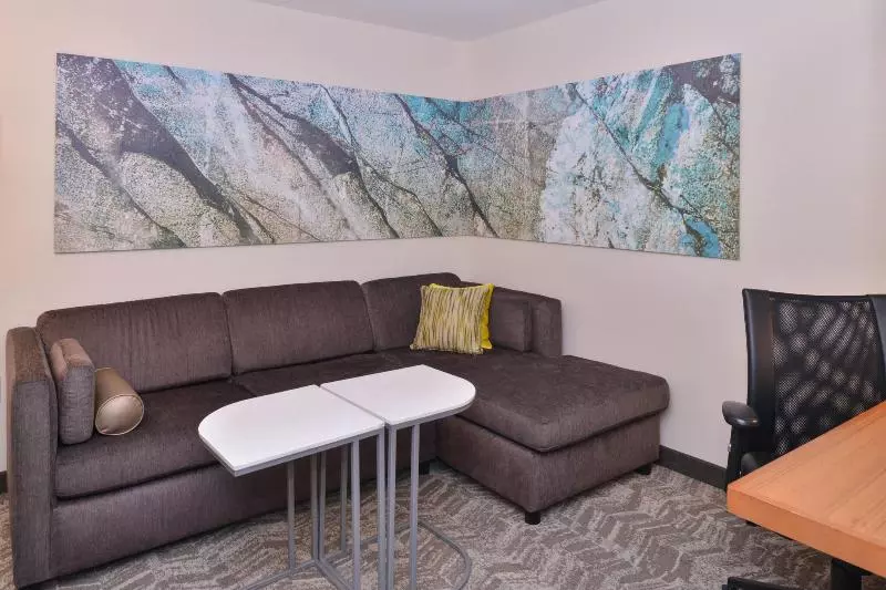 キングサイドベッドのスタンダードワンルーム, Springhill Suites Las Vegas Henderson