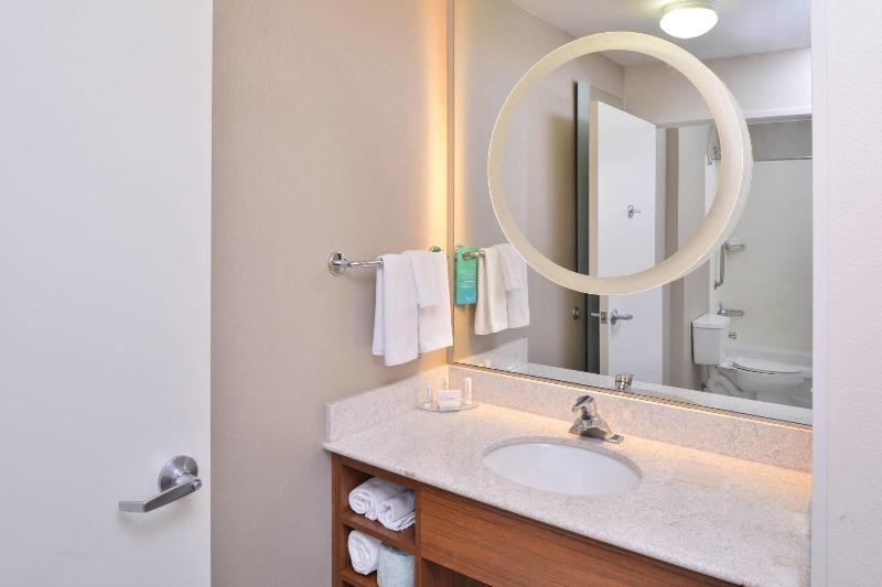 Студио Стандарт Кровать Кинг, Springhill Suites Las Vegas Henderson