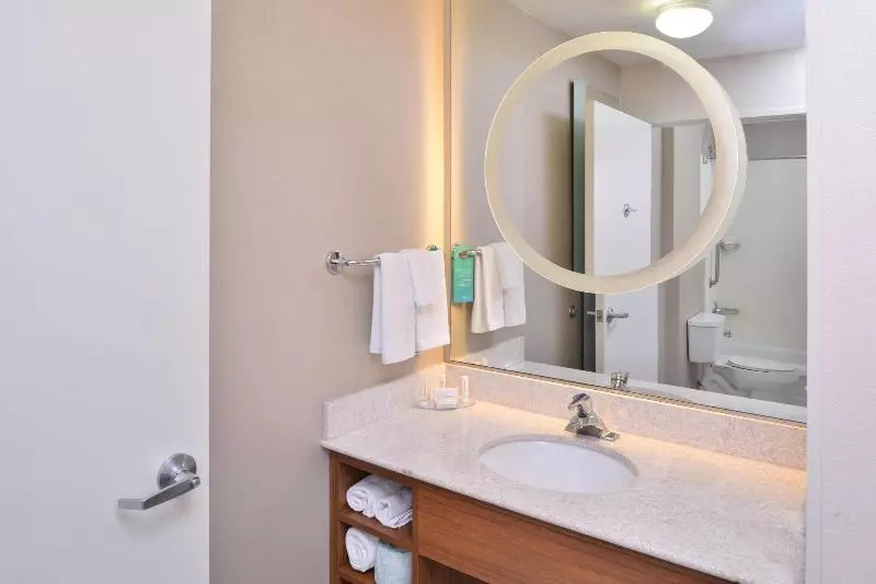 キングサイドベッドのスタンダードワンルーム, Springhill Suites Las Vegas Henderson